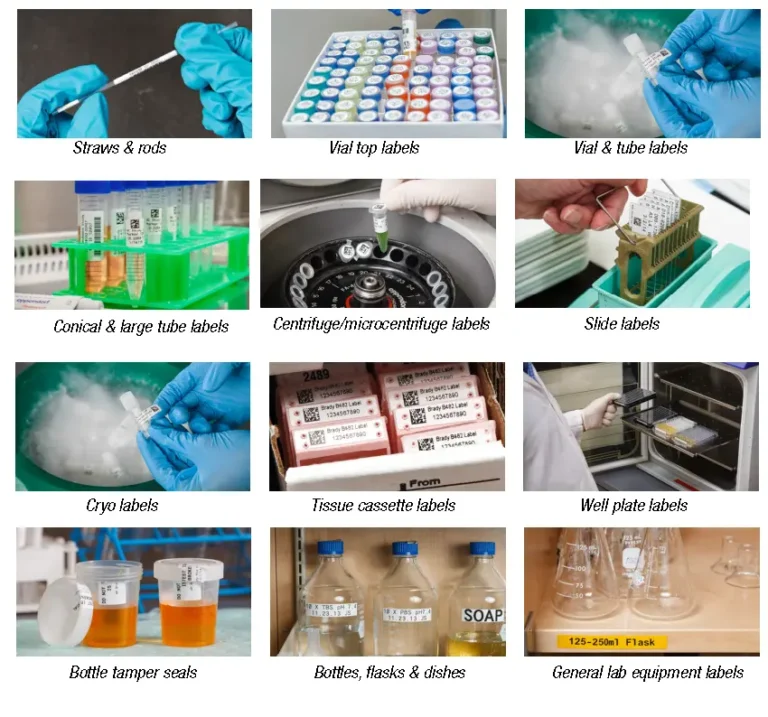 Medical and Laboratory