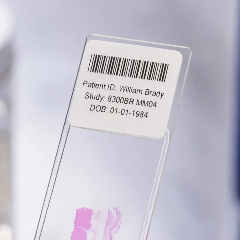 Slide Labels